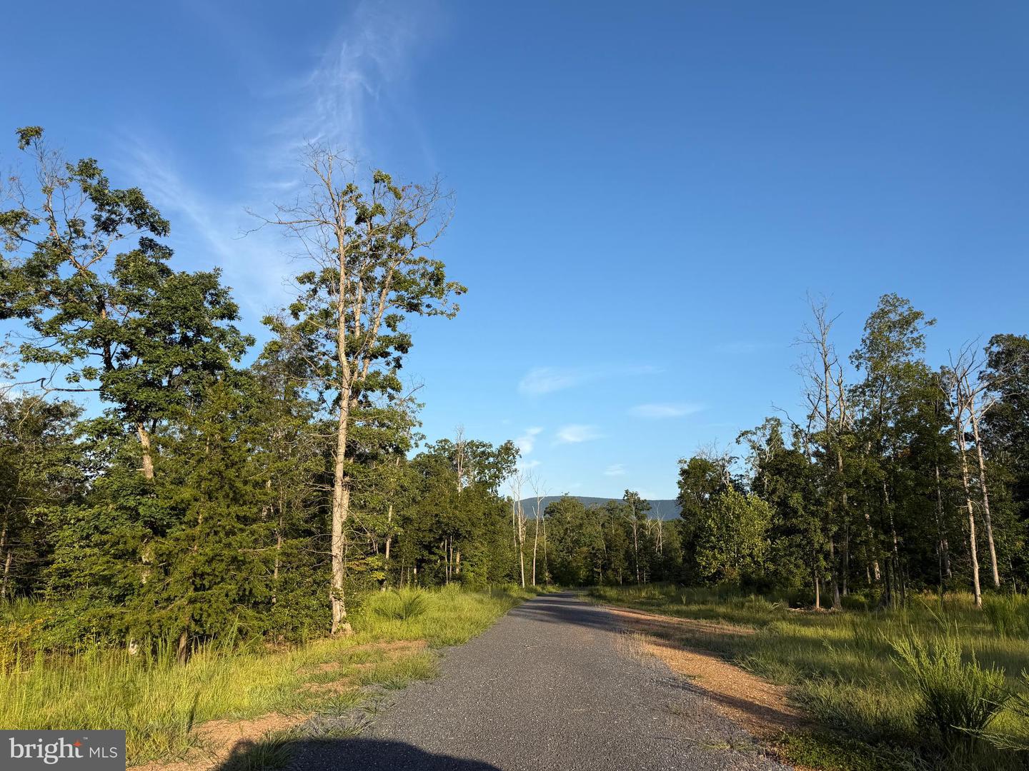 Tract 1: 152.44+/- Acres Off Of Laurel Grove Rd Property Photo 22
