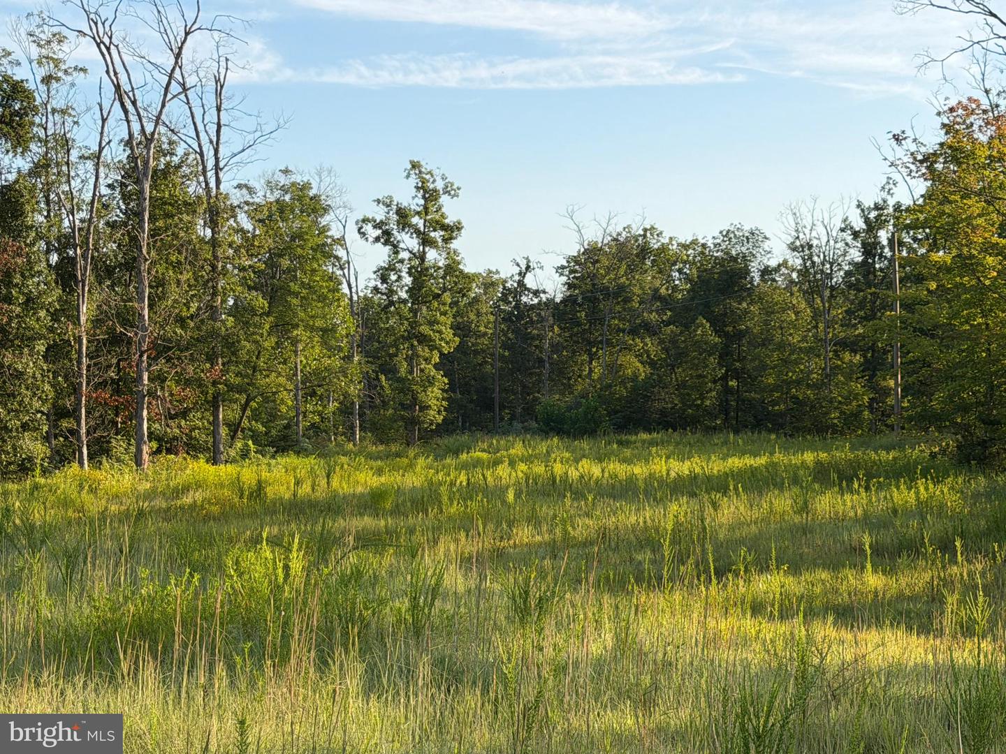 Tract 1: 152.44+/- Acres Off Of Laurel Grove Rd Property Photo 23