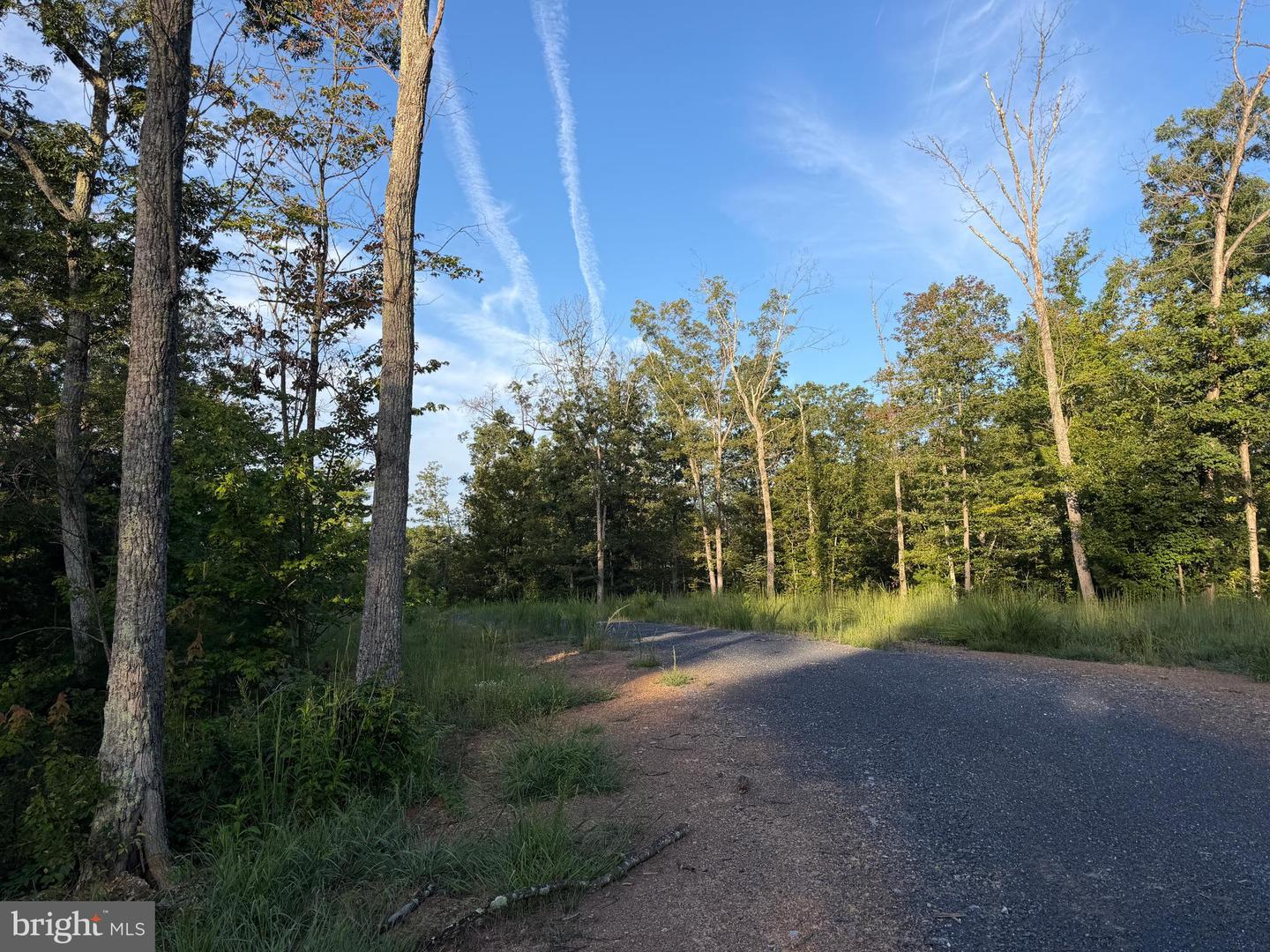 Tract 1: 152.44+/- Acres Off Of Laurel Grove Rd Property Photo 25