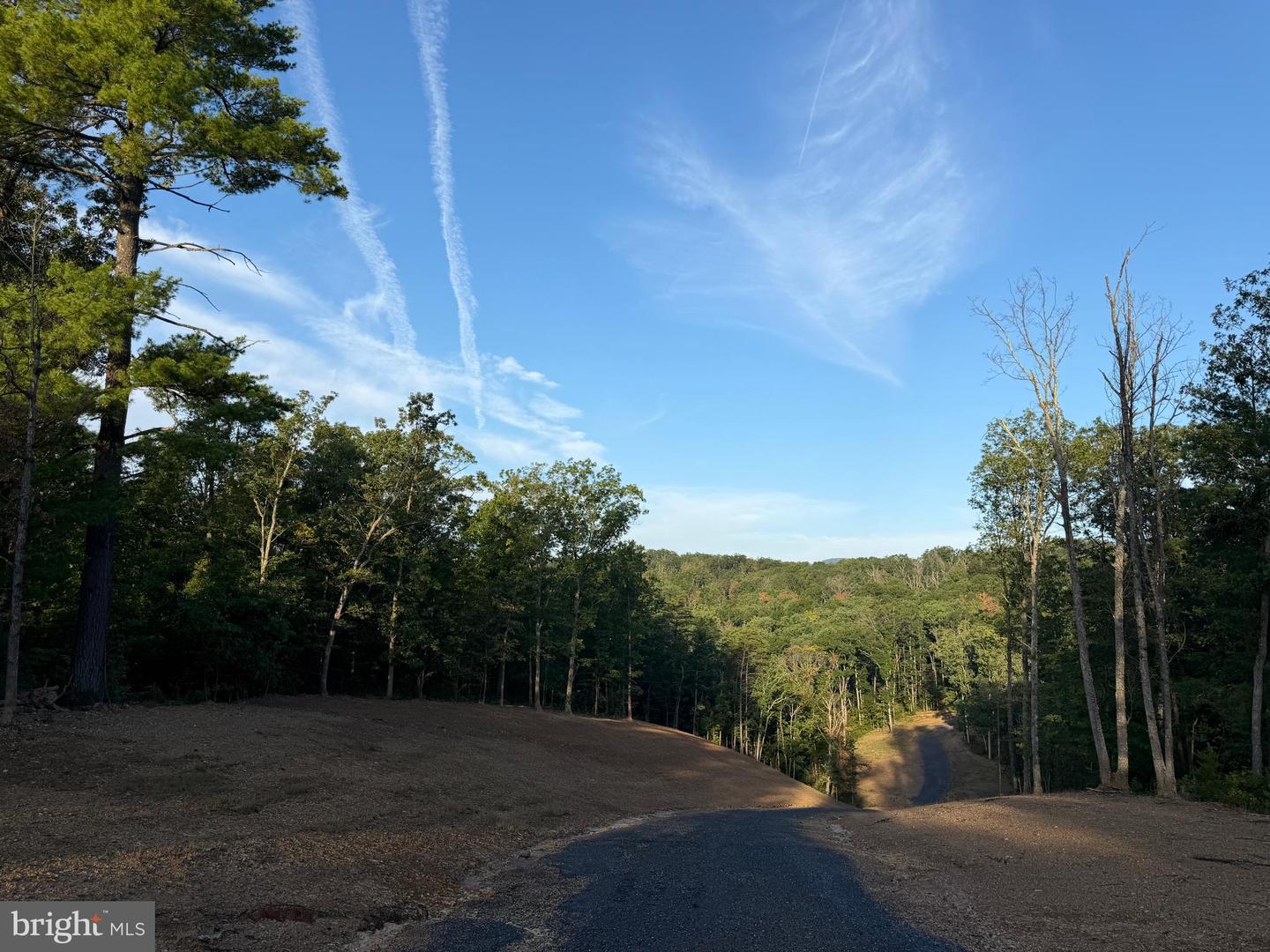 Tract 1: 152.44+/- Acres Off Of Laurel Grove Rd Property Photo 26