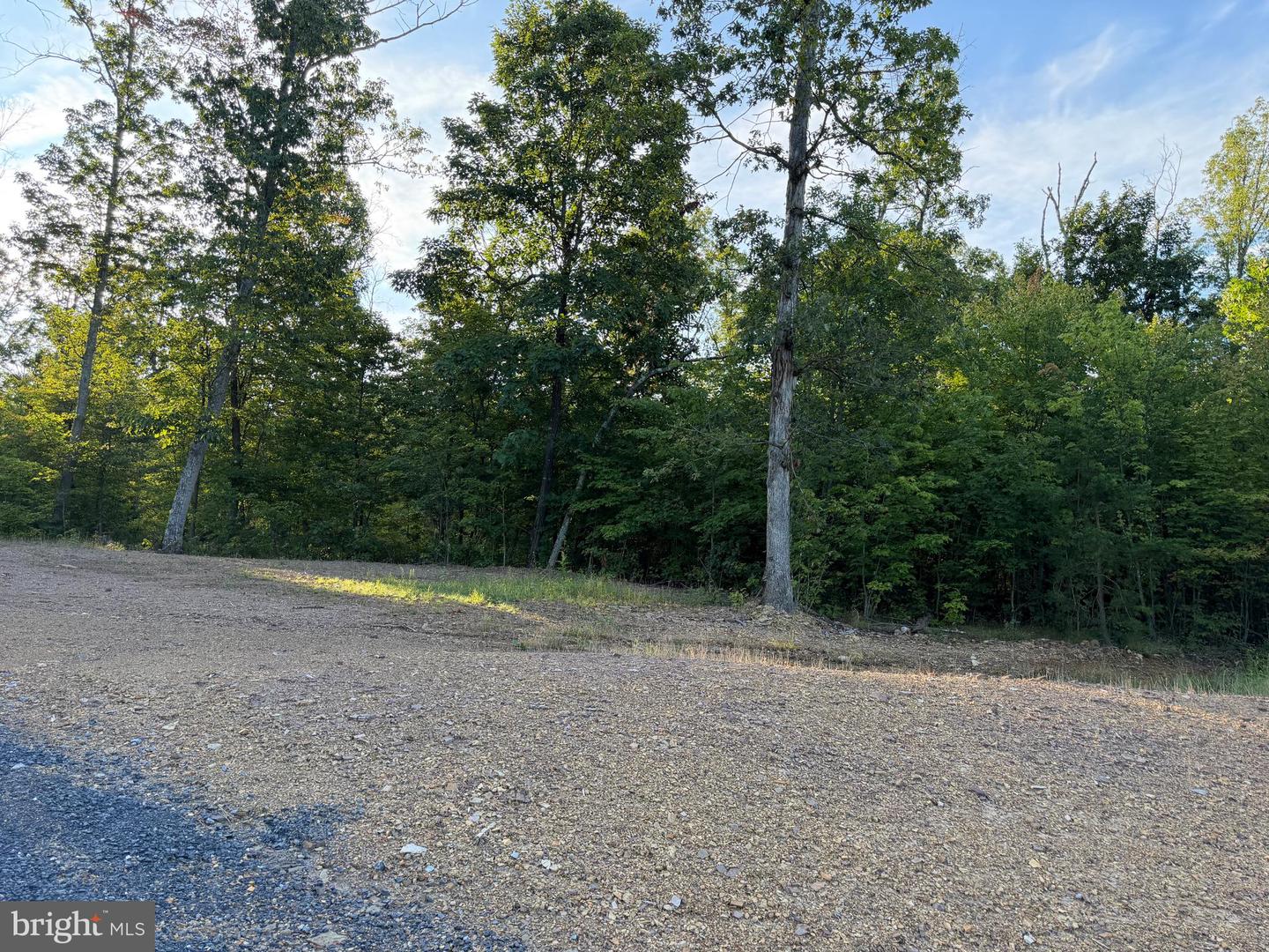 Tract 1: 152.44+/- Acres Off Of Laurel Grove Rd Property Photo 27
