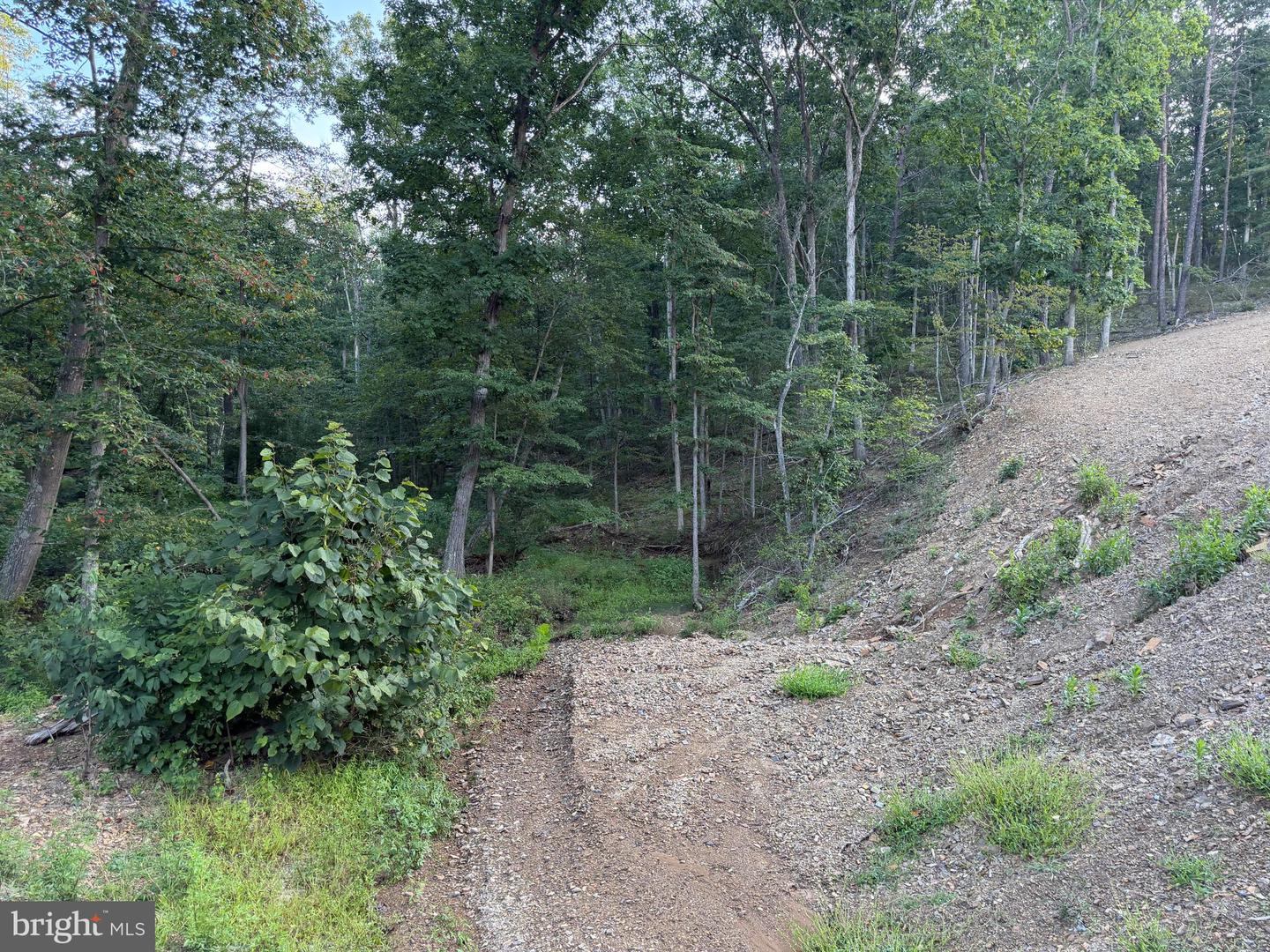 Tract 1: 152.44+/- Acres Off Of Laurel Grove Rd Property Photo 29