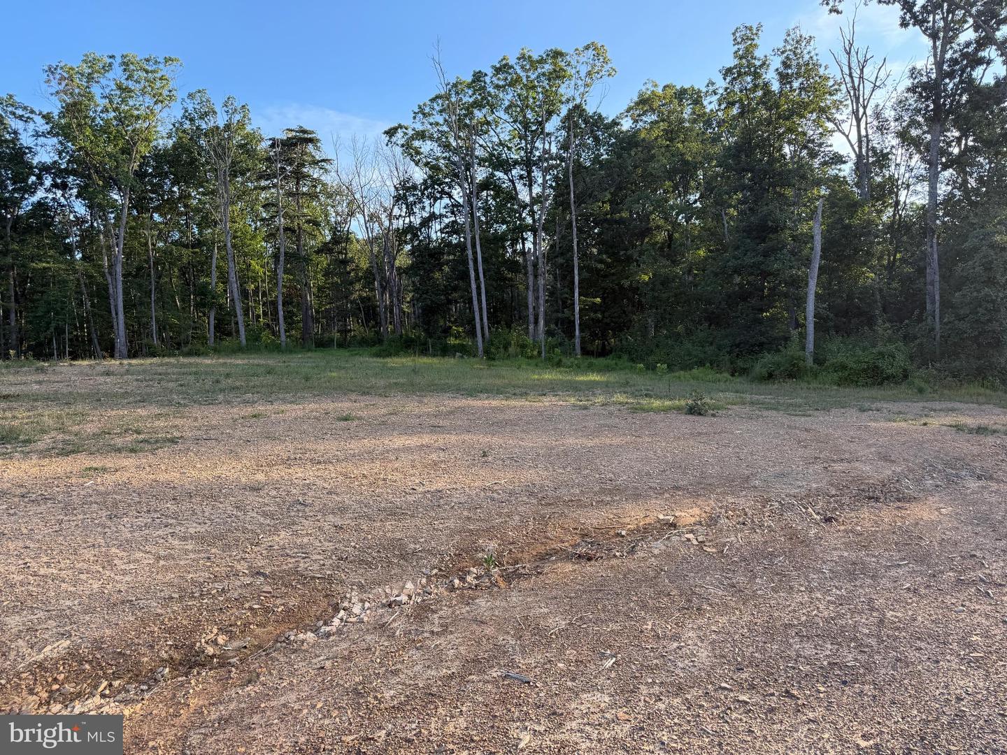 Tract 1: 152.44+/- Acres Off Of Laurel Grove Rd Property Photo 34