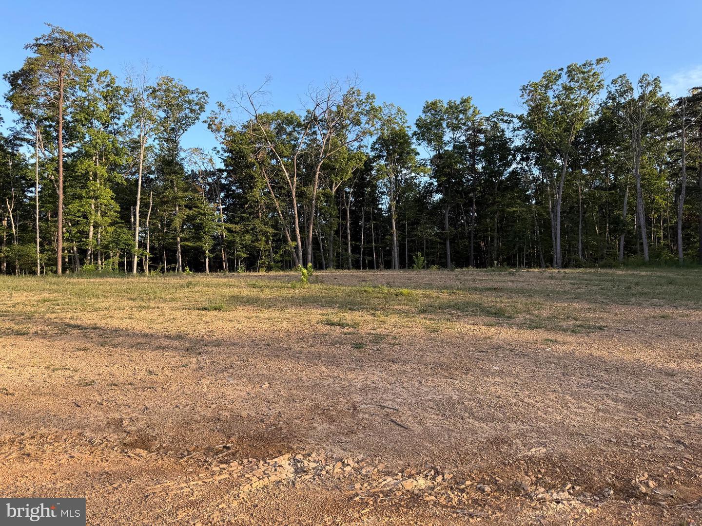 Tract 1: 152.44+/- Acres Off Of Laurel Grove Rd Property Photo 35