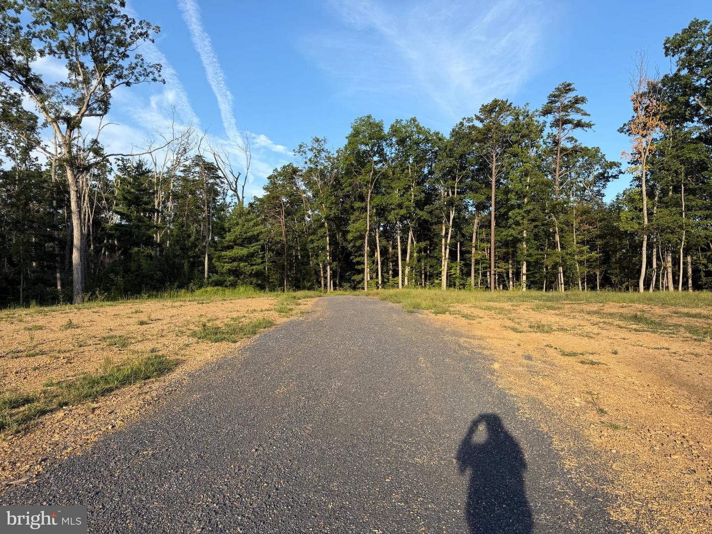 Tract 1: 152.44+/- Acres Off Of Laurel Grove Rd Property Photo 36