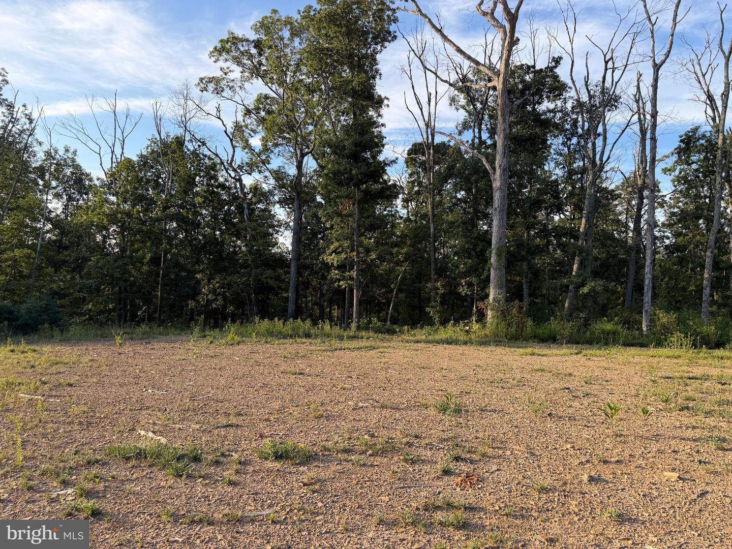 Tract 1: 152.44+/- Acres Off Of Laurel Grove Rd Property Photo 37