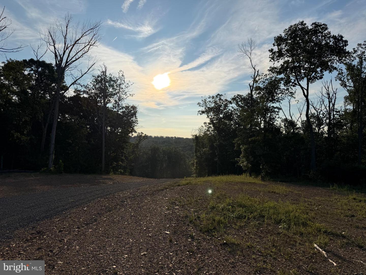 Tract 1: 152.44+/- Acres Off Of Laurel Grove Rd Property Photo 38