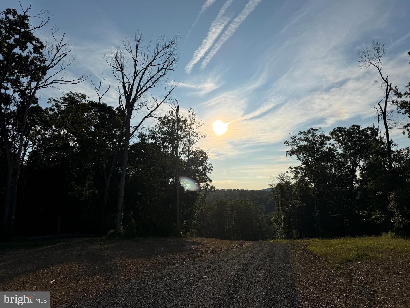 Tract 1: 152.44+/- Acres Off Of Laurel Grove Rd Property Photo 45