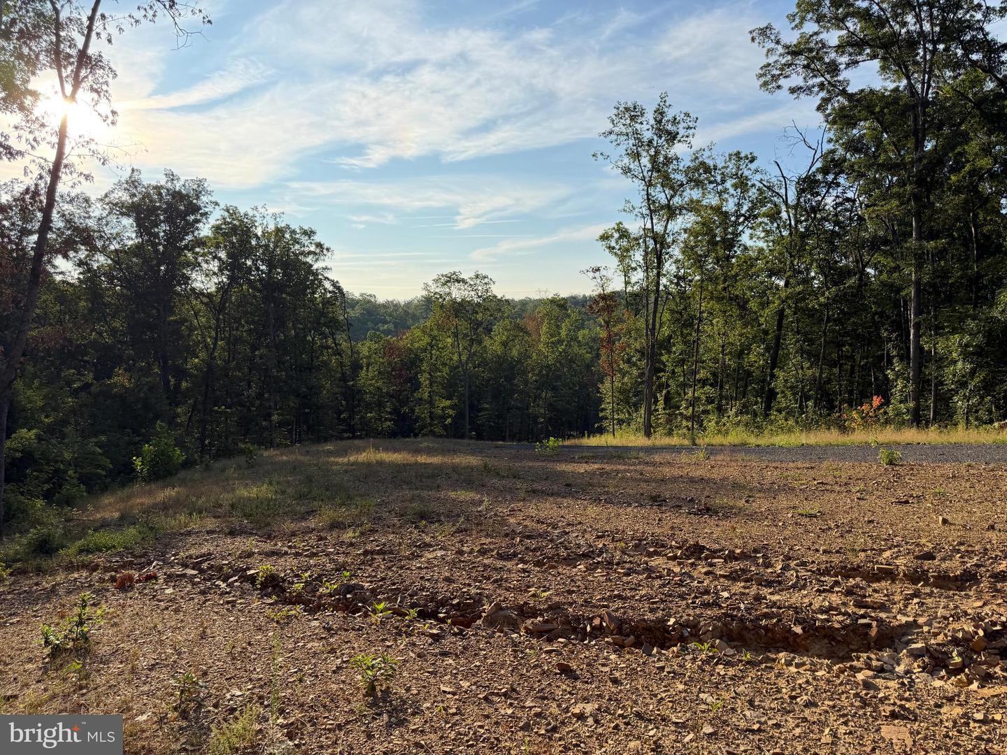 Tract 1: 152.44+/- Acres Off Of Laurel Grove Rd Property Photo 46