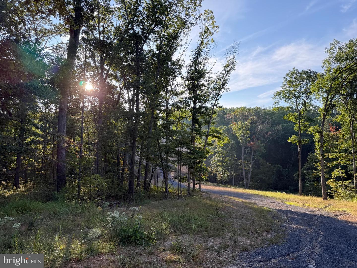 Tract 1: 152.44+/- Acres Off Of Laurel Grove Rd Property Photo 53