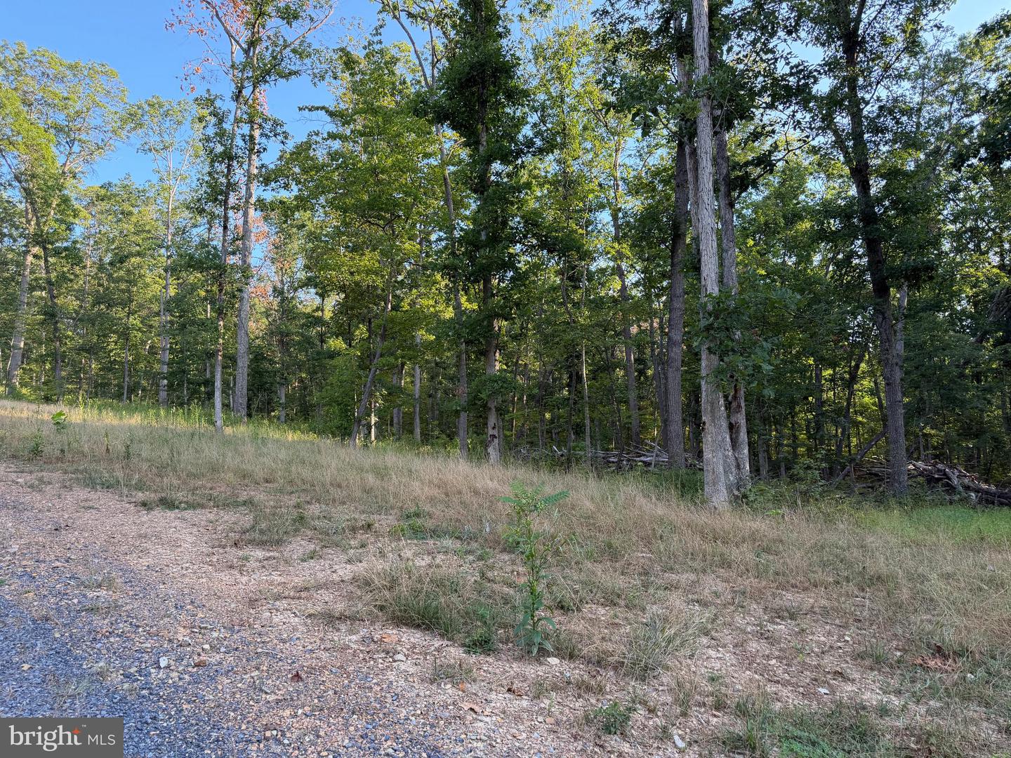 Tract 1: 152.44+/- Acres Off Of Laurel Grove Rd Property Photo 54