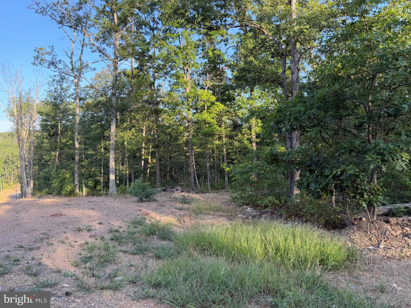 Tract 1: 152.44+/- Acres Off Of Laurel Grove Rd Property Photo 55
