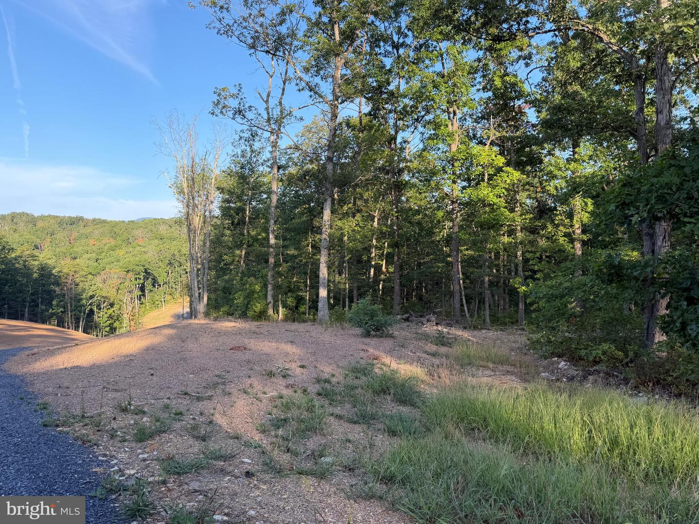 Tract 1: 152.44+/- Acres Off Of Laurel Grove Rd Property Photo 56