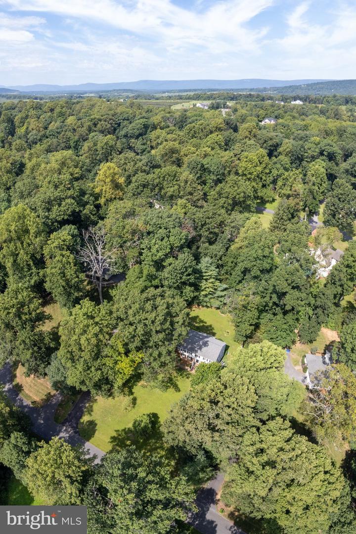 102 Forest Valley Rd Property Photo 50