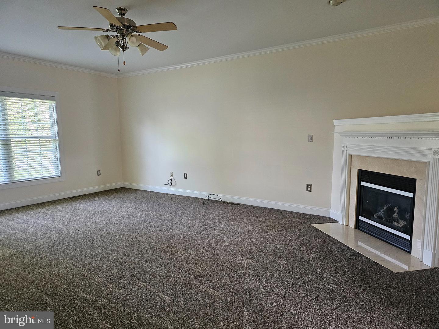 202 Cool Spring Dr Property Photo 3