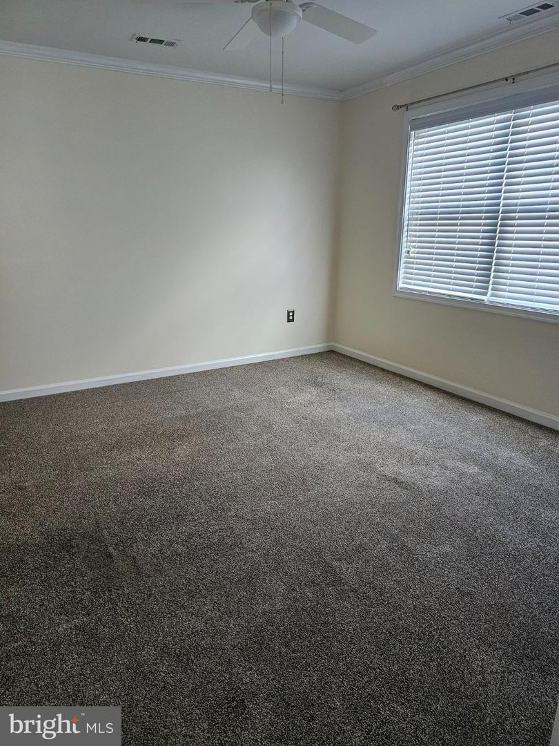 202 Cool Spring Dr Property Photo 14