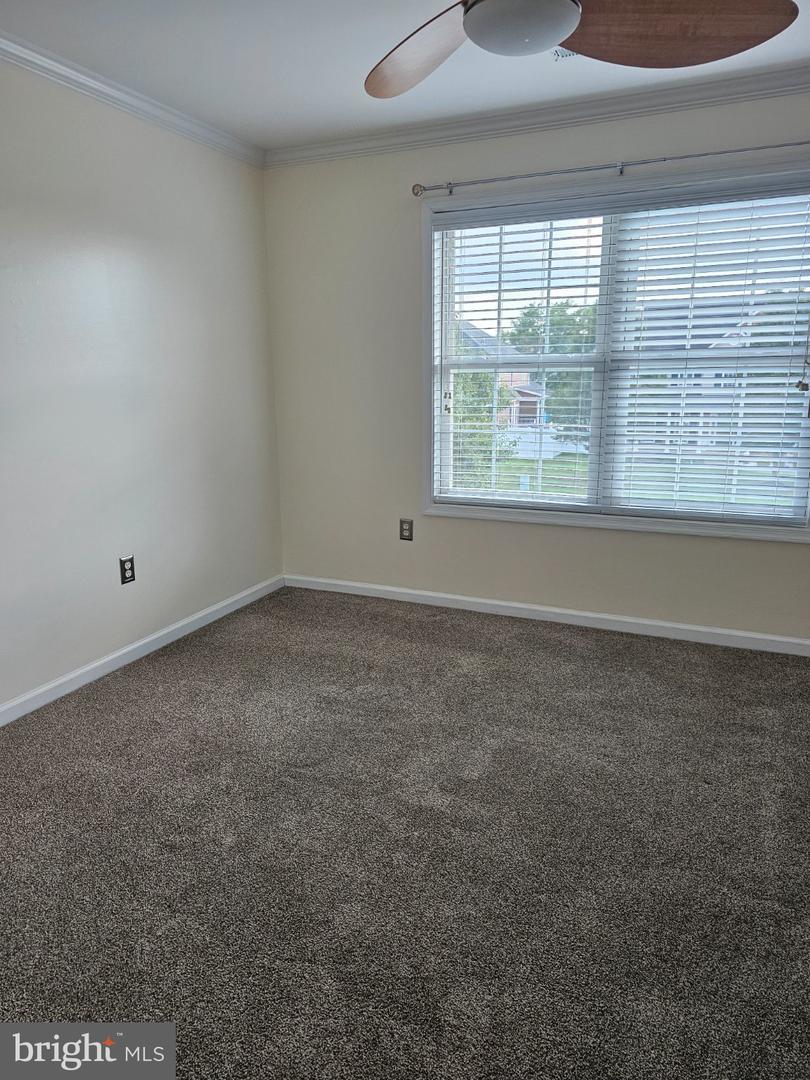 202 Cool Spring Dr Property Photo 16