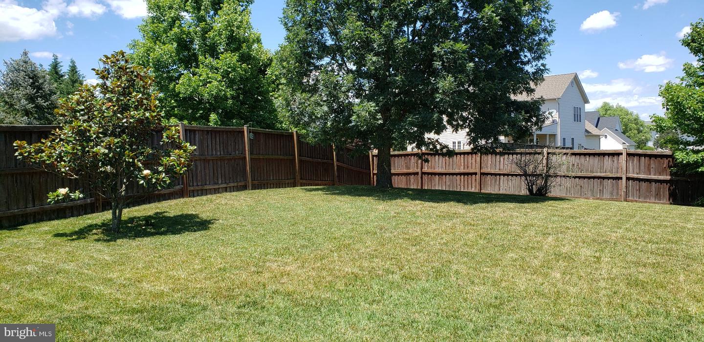 202 Cool Spring Dr Property Photo 31