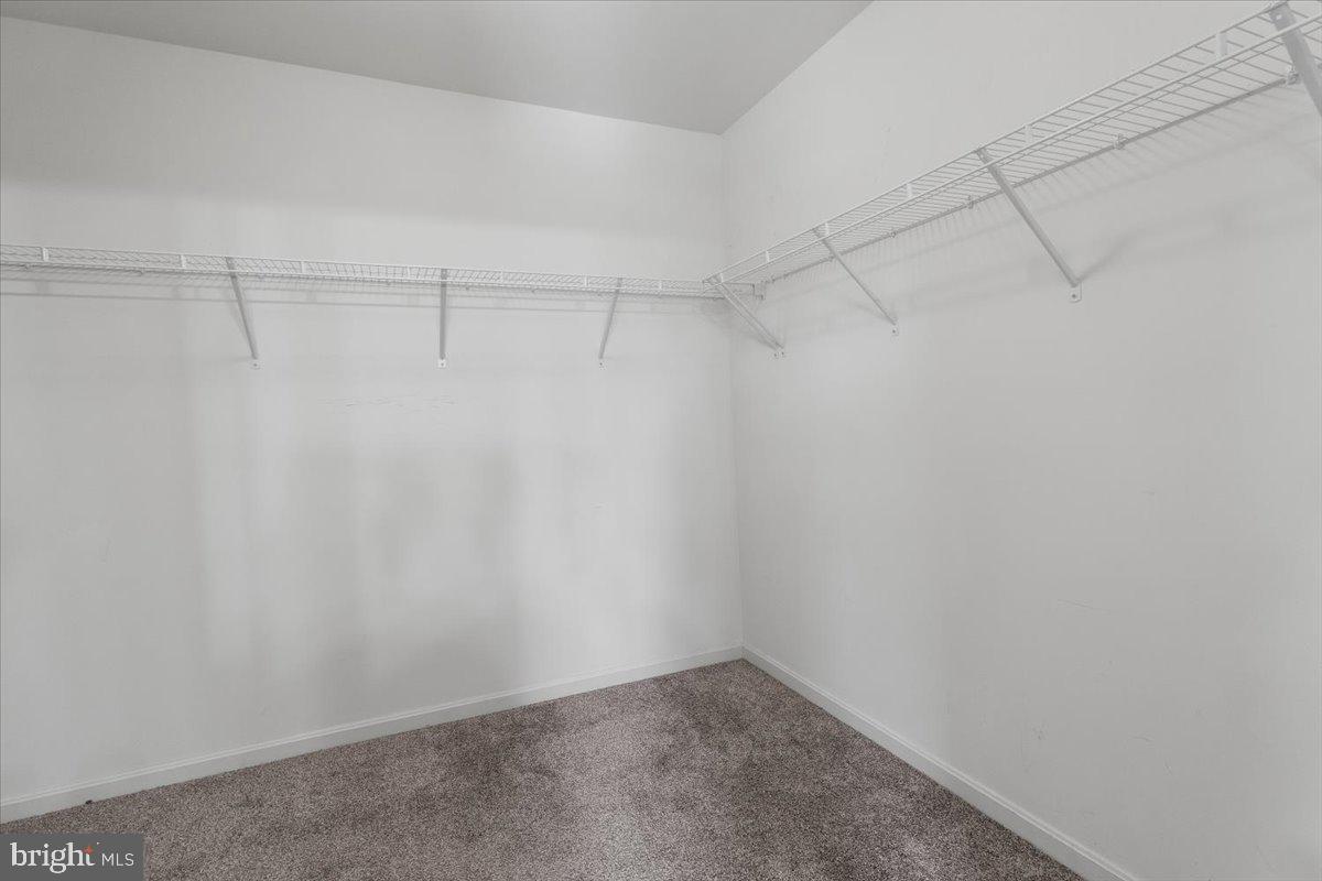 124 Lenore Ln Property Photo 19