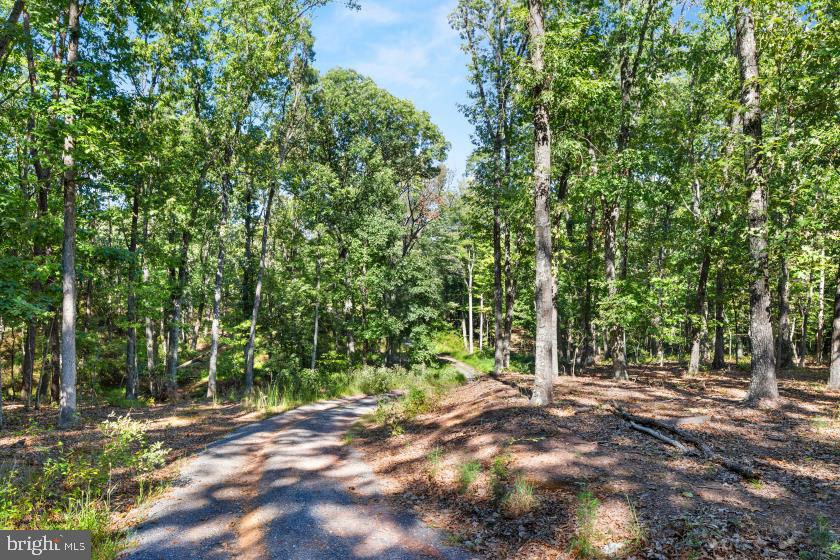 935 Bloomery Pike Property Photo 49