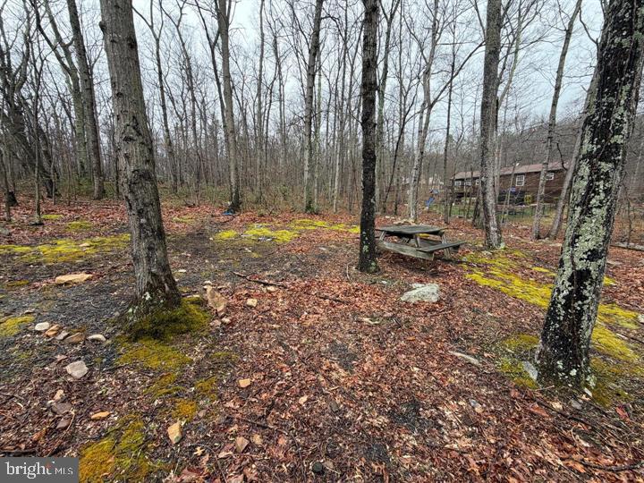 610 Puma Trl Property Photo 25