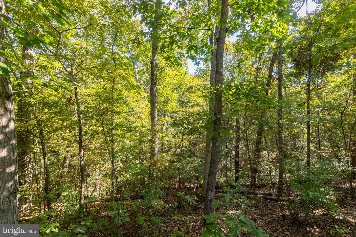 245 Glenridge Drive Property Photo 38