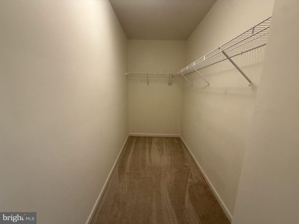 106 Halo Ct Property Photo 25