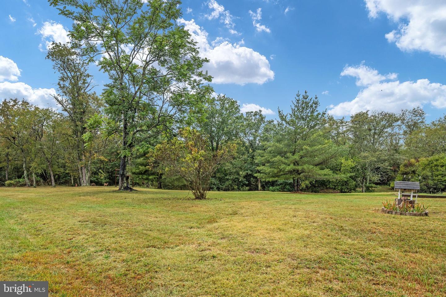 187 Highview Rd Property Photo 36