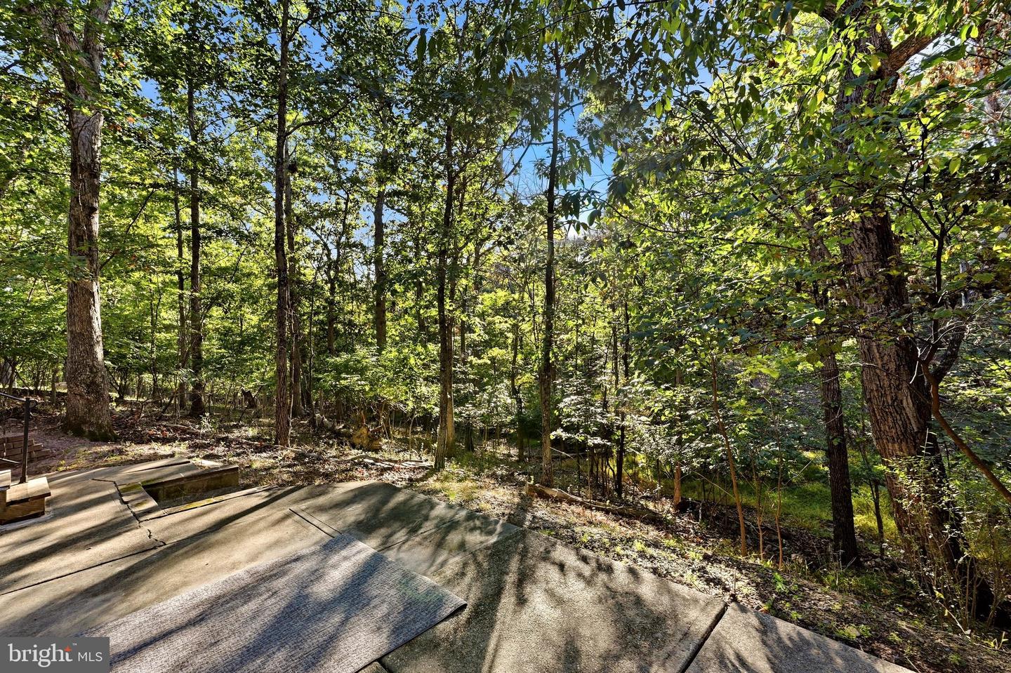 324 Overlook Dr Property Photo 6