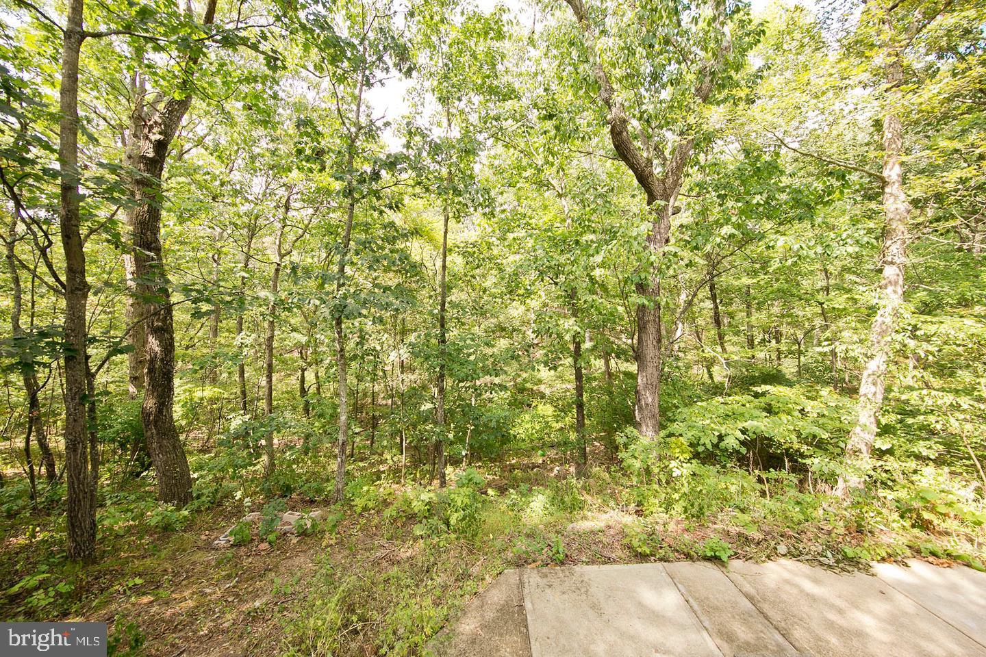 324 Overlook Dr Property Photo 9