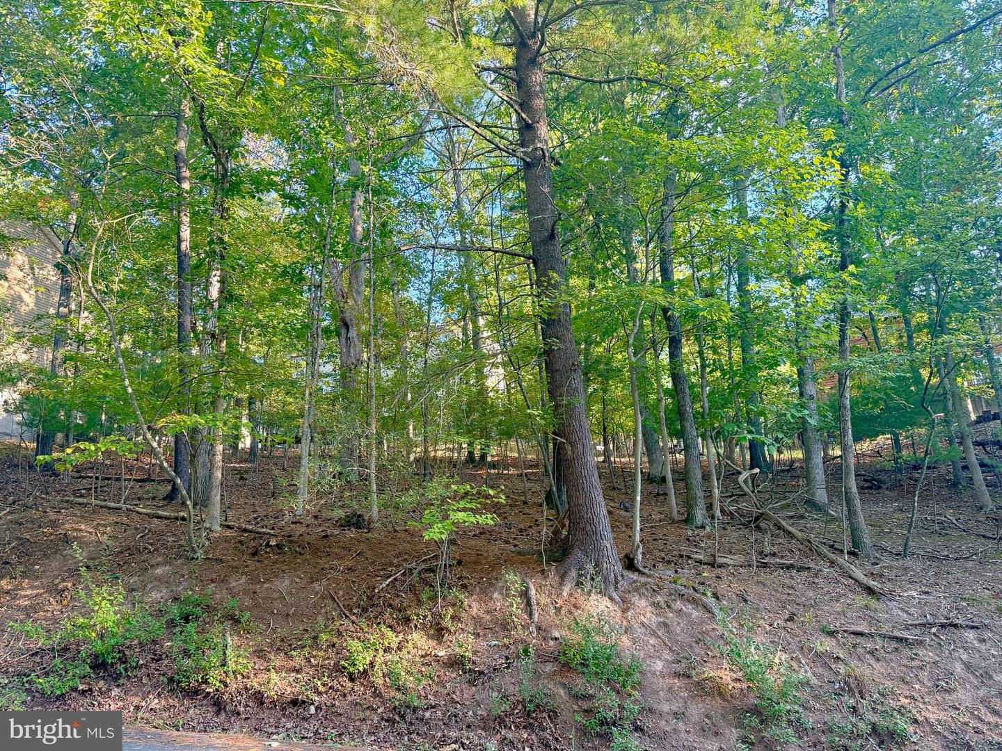 1210 Lakeview Dr Property Photo 6