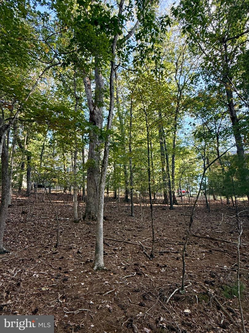 1210 Lakeview Dr Property Photo 7