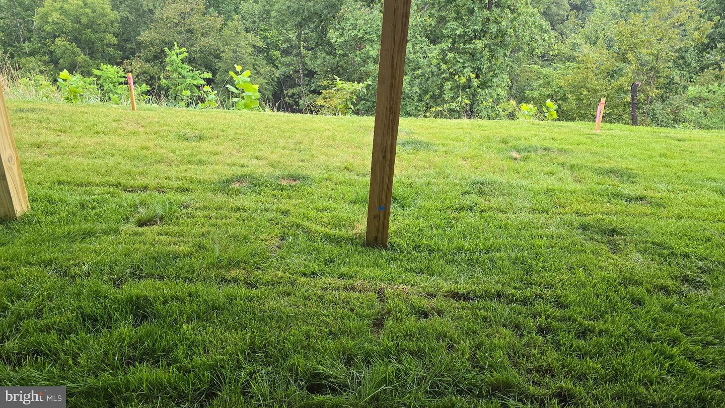 116 Nepal Ct Property Photo 19