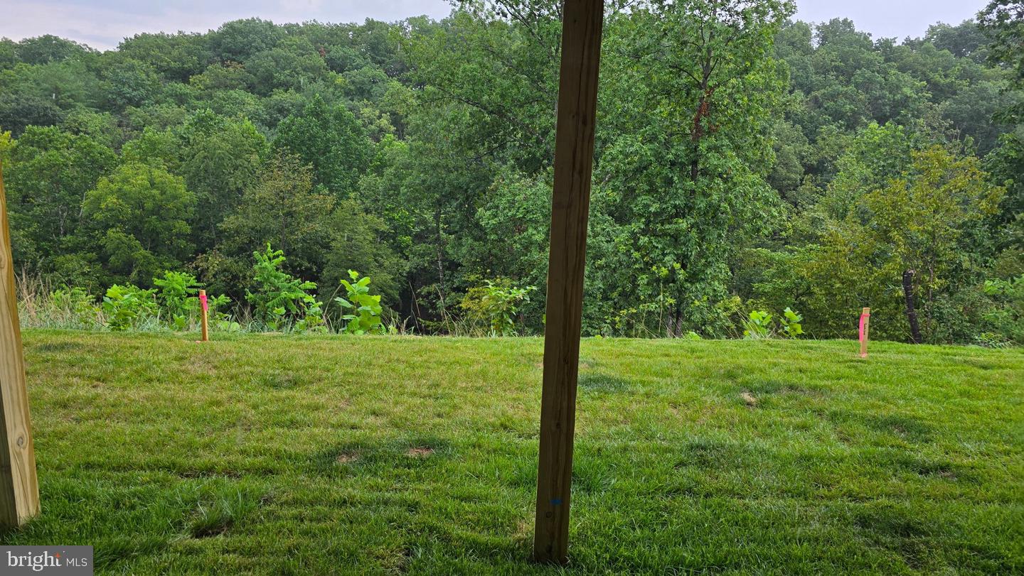 116 Nepal Ct Property Photo 20