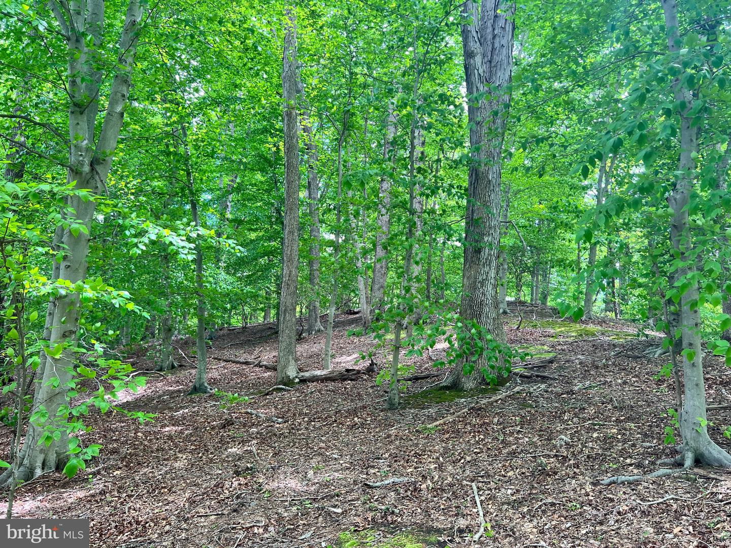 Old Colchester Rd Property Photo 3