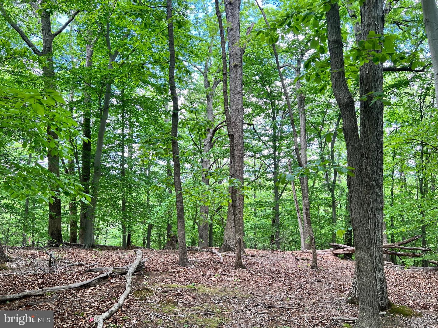 Old Colchester Rd Property Photo 10