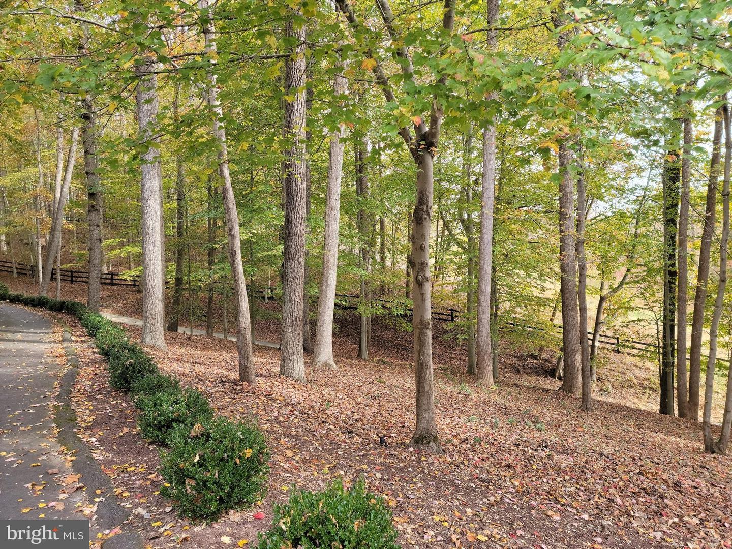 9112 Potomac Ridge Rd Property Photo 2