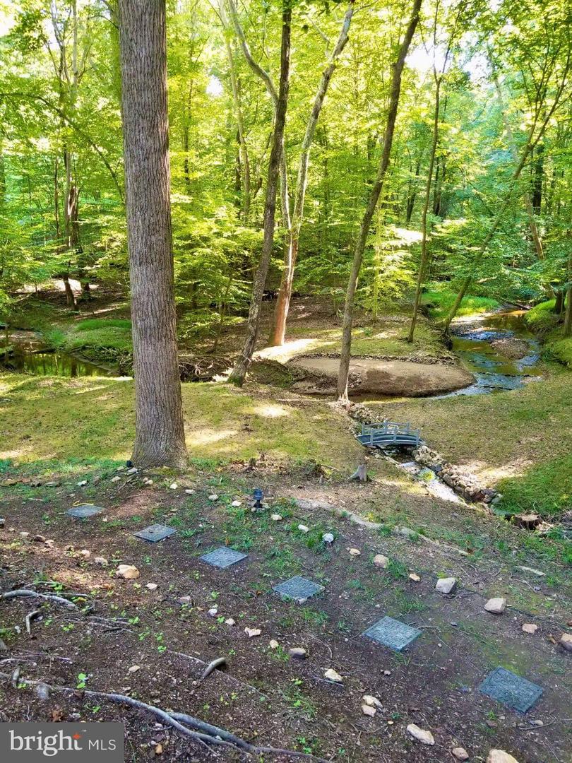 9112 Potomac Ridge Rd Property Photo 16