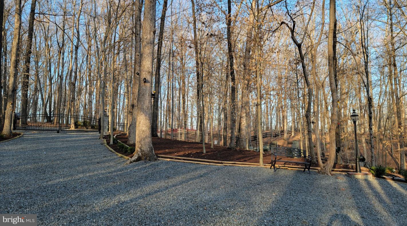 9112 Potomac Ridge Rd Property Photo 22