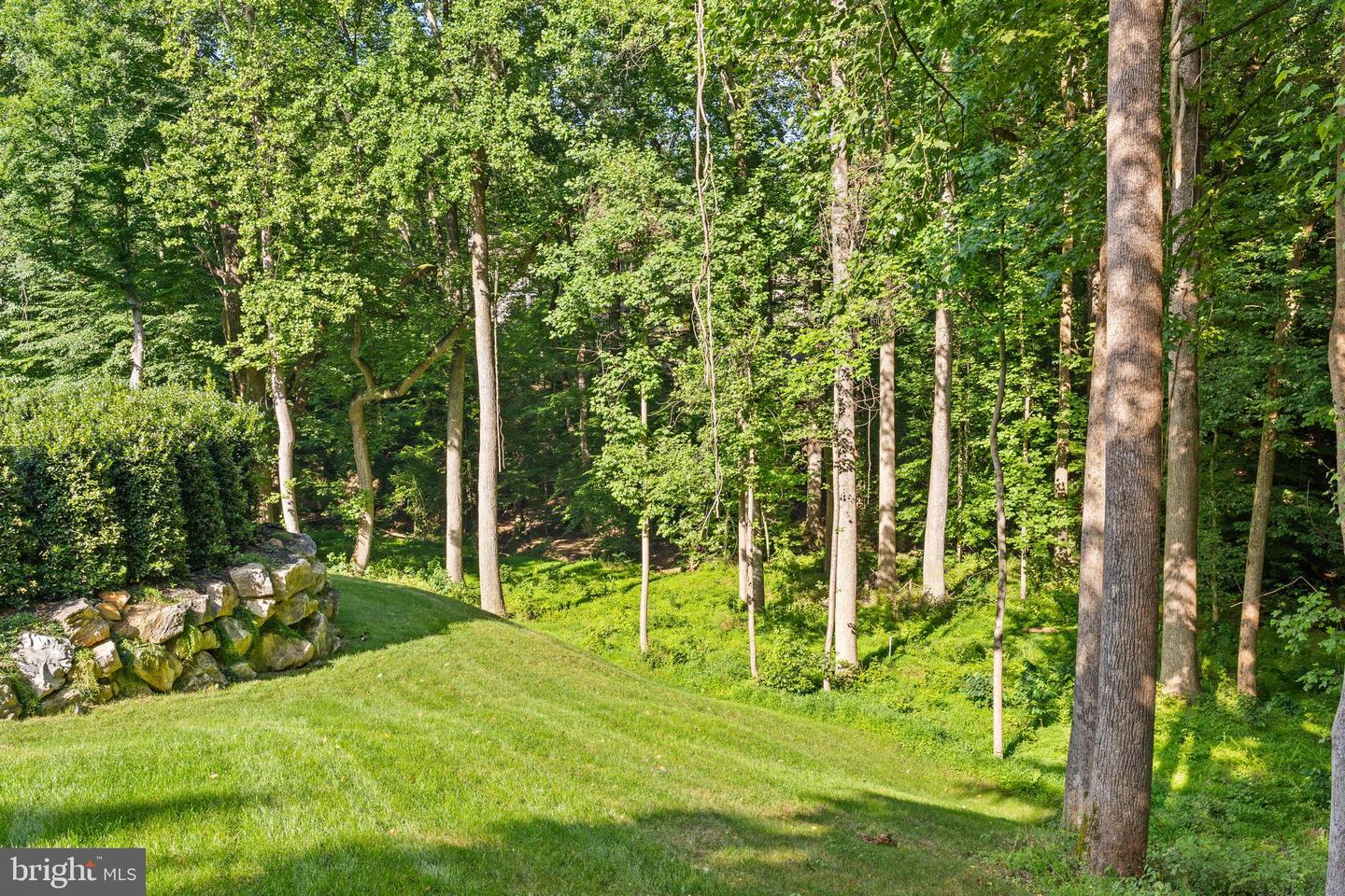 6501 Bright Mountain Rd Property Photo 51