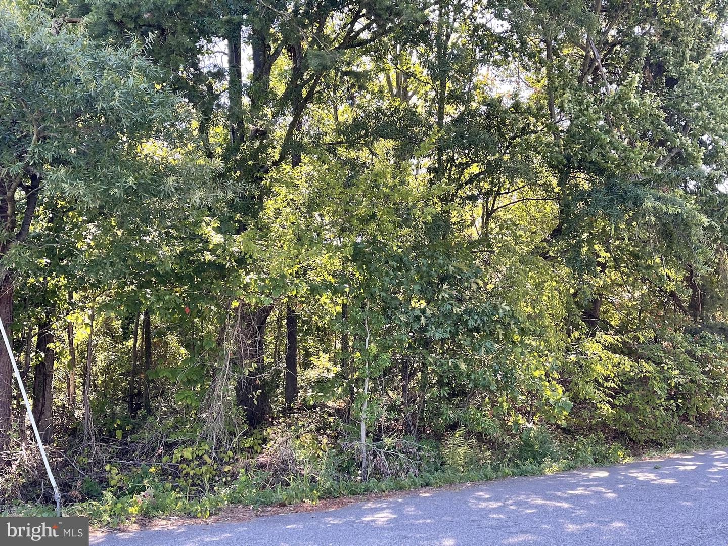 8615 Braddock Ave Property Photo 1