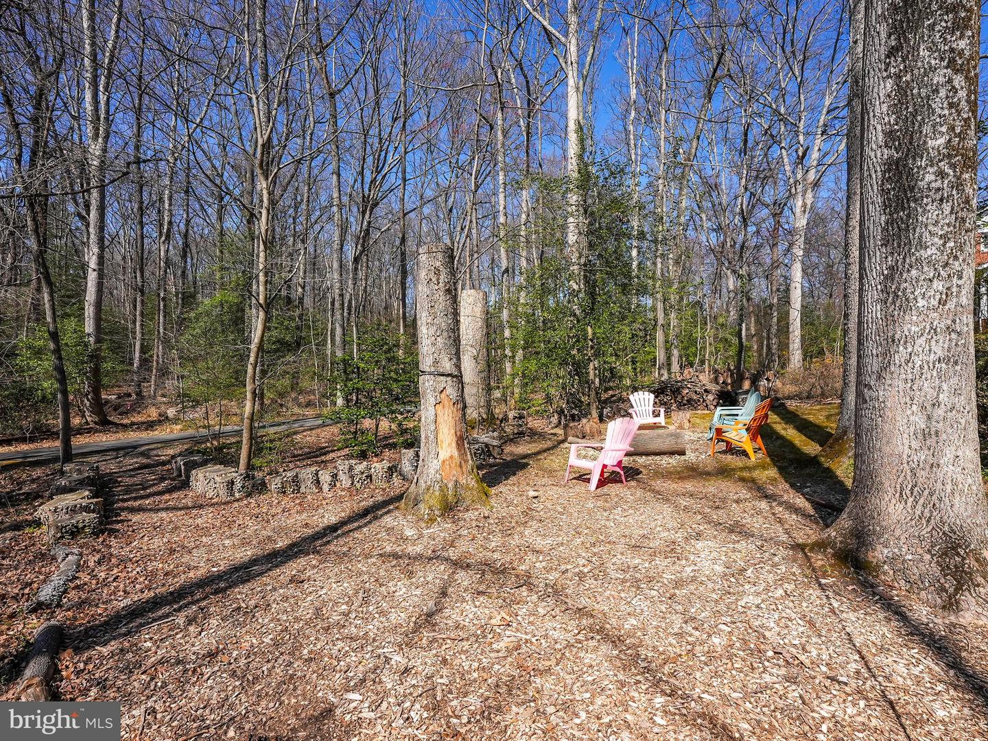 12132 Stirrup Rd Property Photo 49