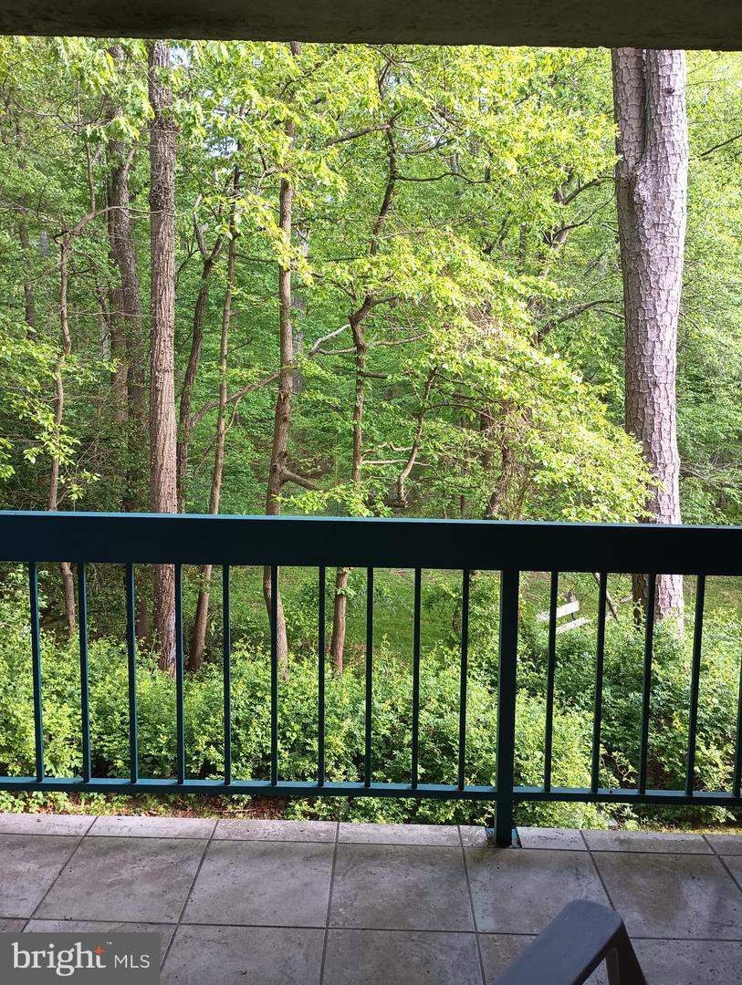 11839 Shire Ct #11b Property Photo 6