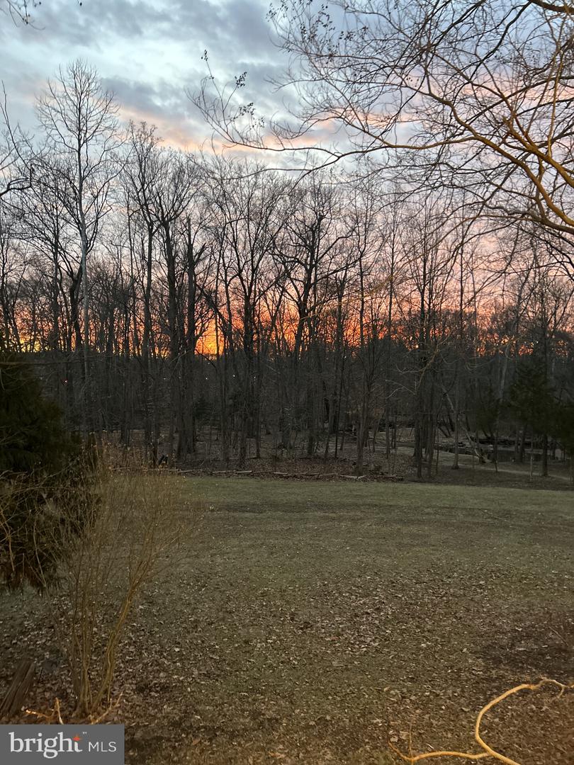 9140 Stonegarden Dr Property Photo 8