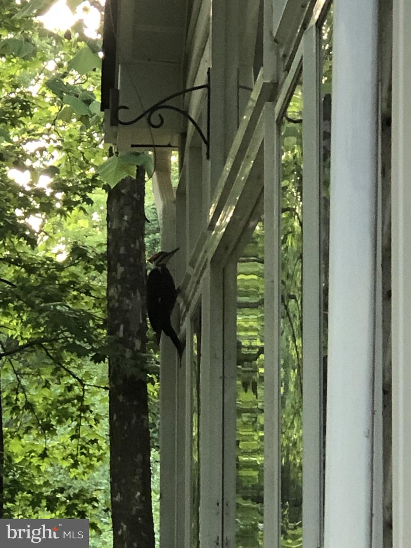 9140 Stonegarden Dr Property Photo 23