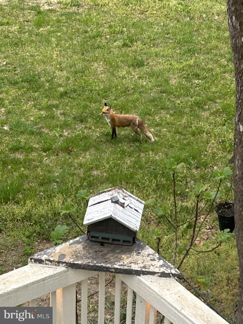 9140 Stonegarden Dr Property Photo 24