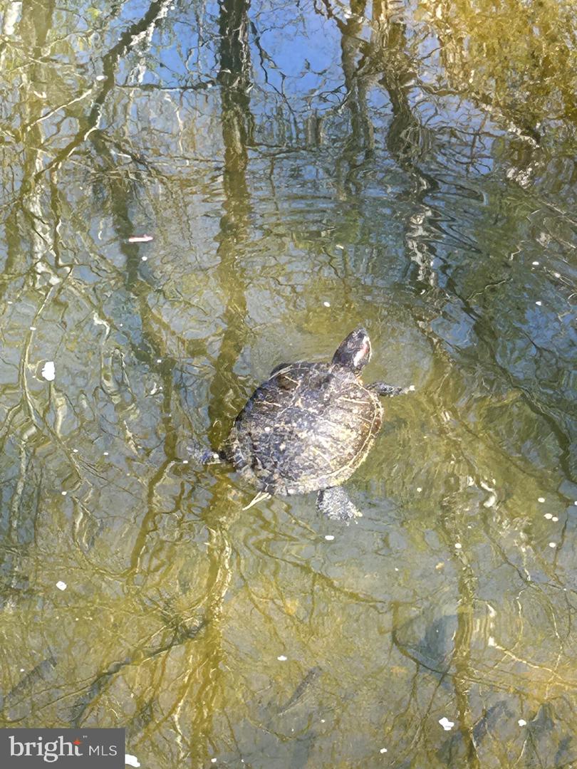 9140 Stonegarden Dr Property Photo 25