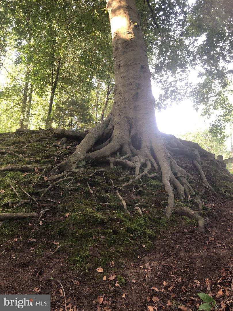 9140 Stonegarden Dr Property Photo 29