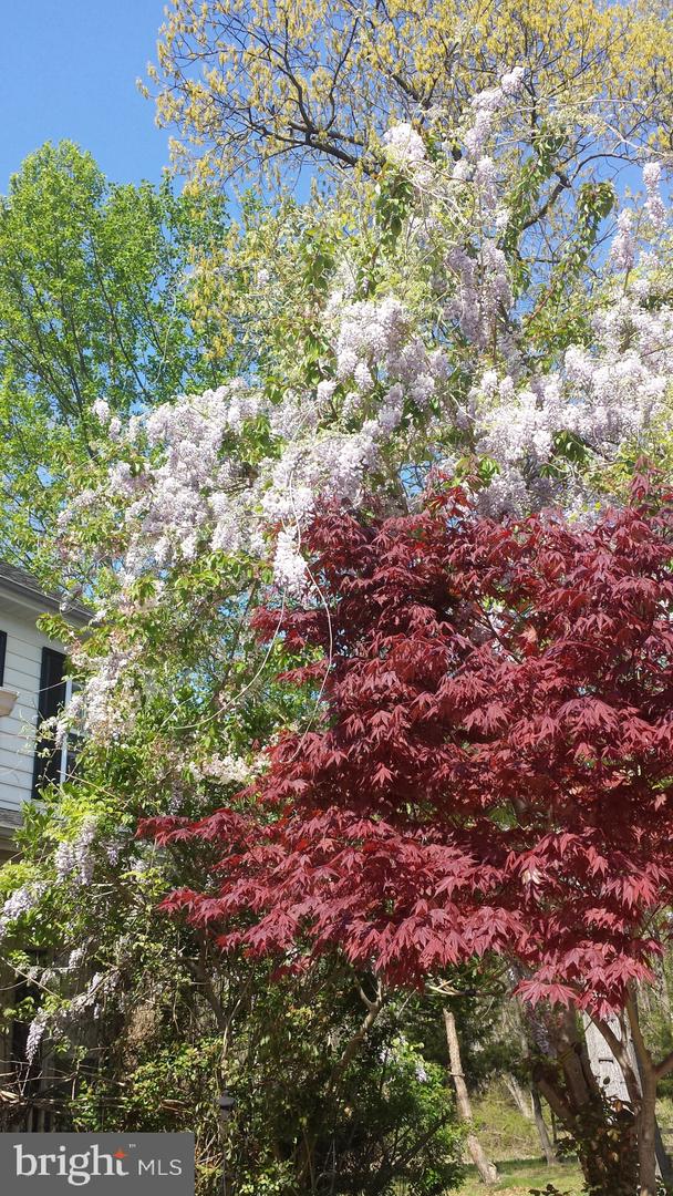 9140 Stonegarden Dr Property Photo 31