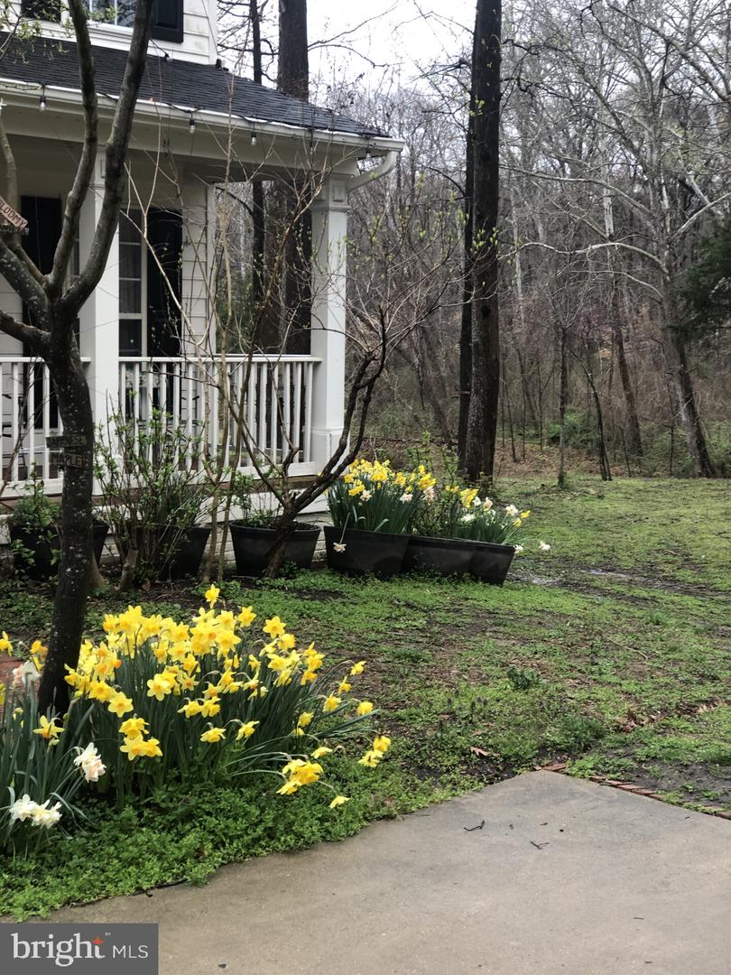 9140 Stonegarden Dr Property Photo 32